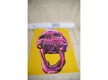 (#209) Snapfish Photo Picture Of Colorful Skeleton Head (rolled Up In Tube)