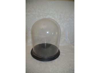 (#97) Awesome Antique 20' Tall Cloche Glass Dome Display Wood Base