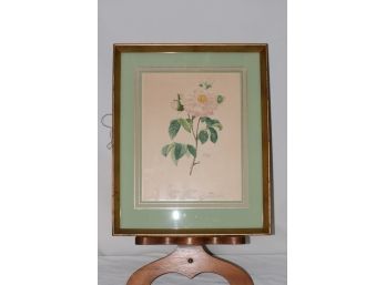 (#31) Redoute Duchess D'Orleans Print In Reverse Painted Glass Border Wood And Gold Frame