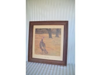 (#44) Framed And Matted Print Wild Turkey 22x23.5