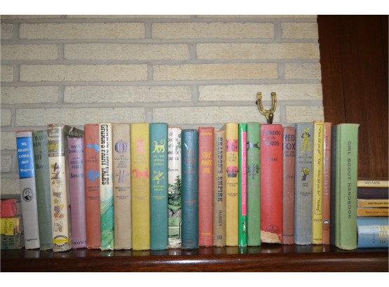 Collection Of Vintage Books (some Children)