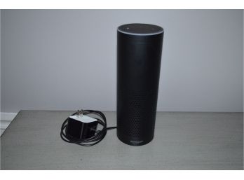 Amazon Echo (not Tested) Should Work