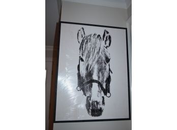 (#46) Black And White Horse Picture