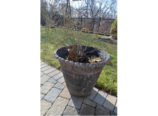 Outdoor Resin Planter With Rose Bush (pool Area)