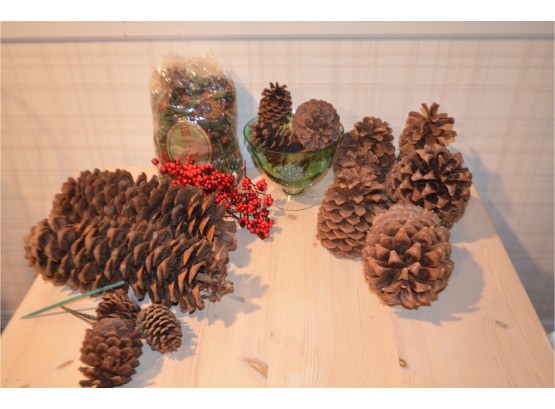 (#148) Assortment Of Pine Cones
