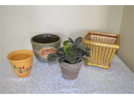 (#56) House Planter And Live African Violet Plant