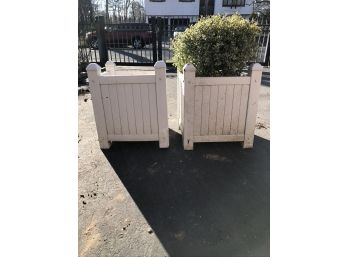 (#19)  A Pair Of Square Resin Patio Planter With  1 Variegated Boxwood Plant