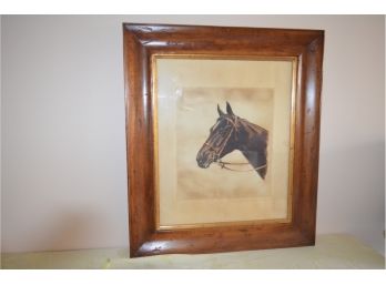 Horse Framed Picture