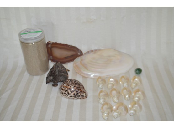 (#19) Shell Napkin Rings, Shell And Stone