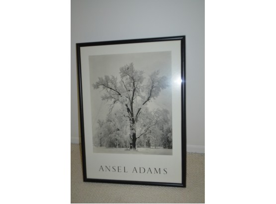 (#86) Framed Picture 25.5x34