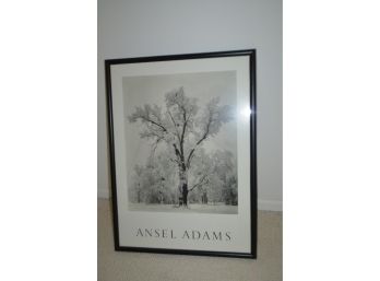 (#86) Framed Picture 25.5x34