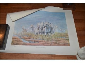 (#23) Unframed Poster Galloping White Stallions Signed By Malocco 192/500 Slight Ripe On Top