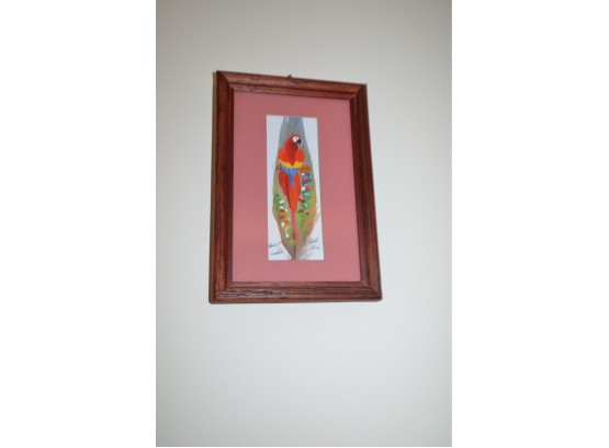 (#5) Costa Rican Bird Feather In Picture Frame