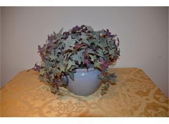 (#73) Ceramic Pot Artificial Ivy Plant 29'Round