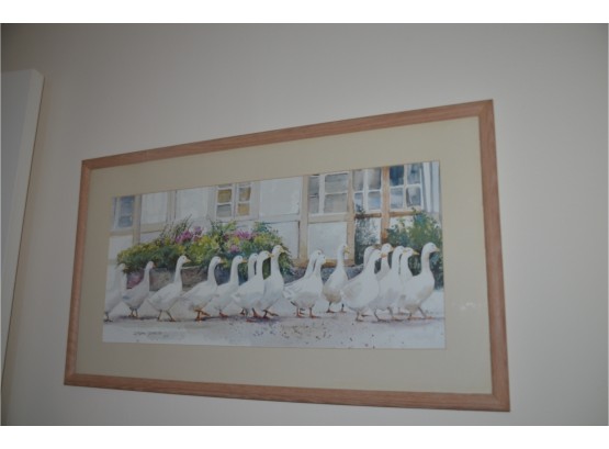 (#123) Framed Print Duck Picture By Ialine Darton