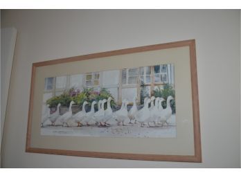 (#123) Framed Print Duck Picture By Ialine Darton
