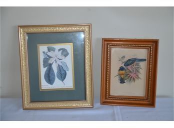 (#26) Framed Pictures (2) Magnolia And Birds J. Gould