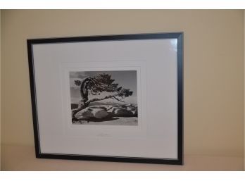 (#78) Black Framed Photograph Ansel Adams 'Yosemite Special Edition' Made From Original Glass Plate 21x17