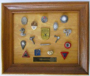 A Group Of 17 1940's German Pins Applied To A Frame