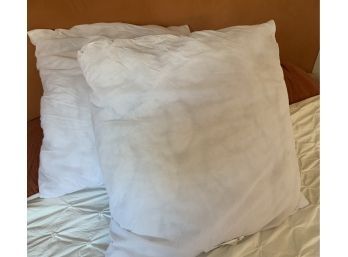 2 Euro Size Pillow Inserts
