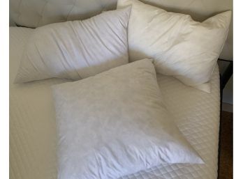 Assorted Feather Pillows