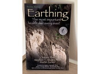 Earthing-The Most Important Health Discovery Ever