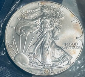 2002 US SILVER AMERICAN EAGLE - 1 0ZT 99.9 FINE SILVER DOLLAR COIN- IN SEALED PLASTIC - TONED