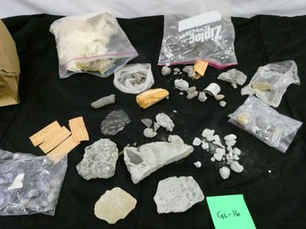 Great Lot Of Fossils!