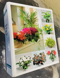 Plant Lovers Book And Vases