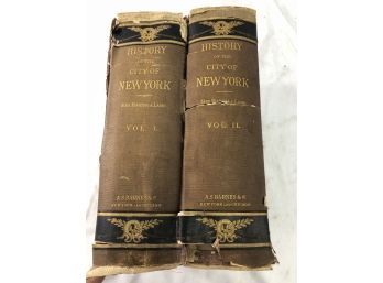 History Of New York In Two Volumes