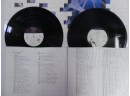 Lot Of 2 Vinyl Records 33Lp: Pink Floyd