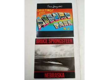 Lot Of 2 Vinyl Records 33Lp: Bruce Springsteen