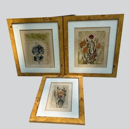 Aloys Vial, Three Botanicals, Woodcut On Paper