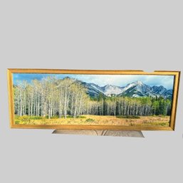 Framed Poster Of Birch Trees And The Rockies By ART.com