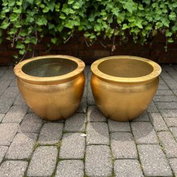Two Gold Glazed Ceramic Planters