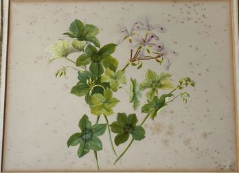 Watercolor Of Flowers Guache