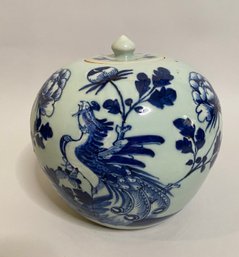 Chinese Export Porcelain Blue And White Ginger Jar