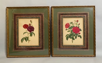 After Pierre Joseph Redoute, Pair Of Framed Rose Book Plates/Lithographs, Pub. By Mary Lawrence, 1796