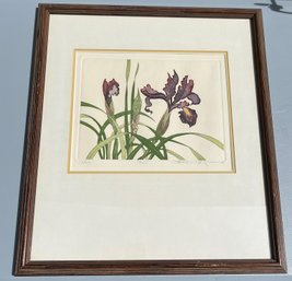 Iris, Chromolithograph, Signed And Numbered