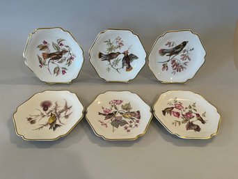 Set Of 6 Mitterteich 8' Dessert Plates With Bird And Botanical Decoration With Gold Trim, Bavaria