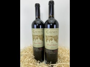 2010 Caymus Special Selection Cabernet Sauvignon - 750ml