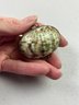 Vintage Sea Shell Hinged Trinet Box