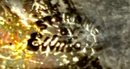 Vintage Sterling Silver Whiskey Bottle Hang Tag - Hand Engraved 'Rye' - Signed 'Sterling Ellmore'