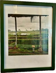 1999 Tropical Farming Photograph