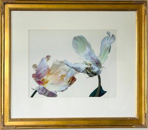 Abstract Irises Photo-2005