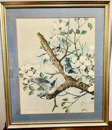 Vintage Basil Ede Print - Framed & Matted- White Breasted Nuthatches