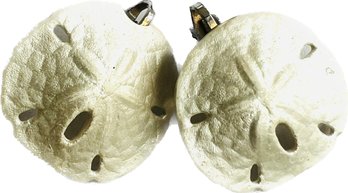 Sand Dollar Clip Earrings