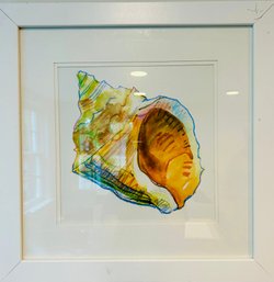 Shell Print & White Contemporary Frame