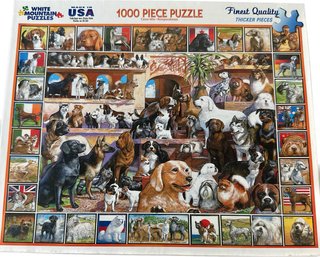 1000 Piece Puzzle