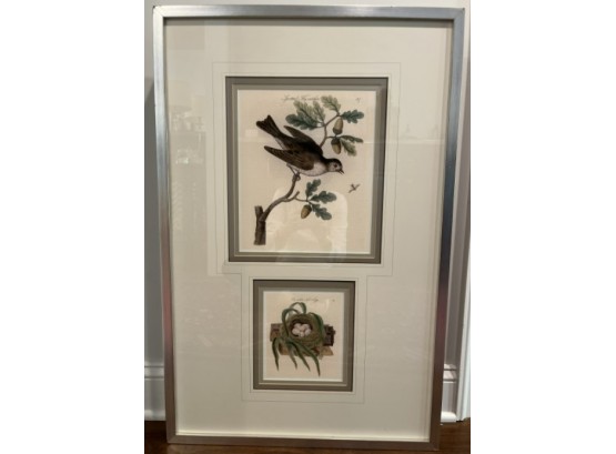 Lovely Audubon Prints.  Triple Matted